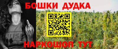 спиды Кандалакша