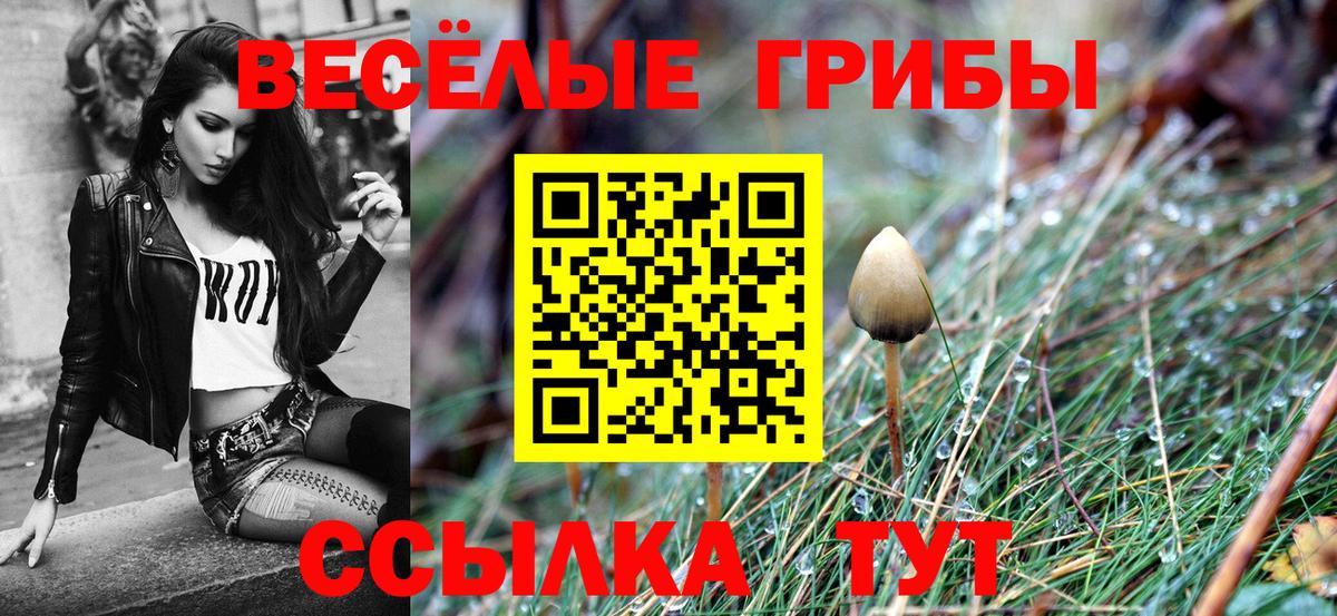 Псилоцибиновые грибы ЛСД  Вход с VPN  Кириши  Галлюциногенные грибы прущие грибы 