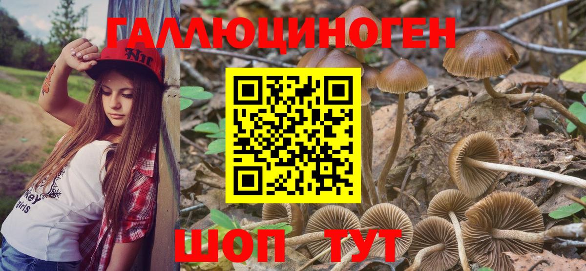Галлюциногенные грибы Magic Shrooms Кириши